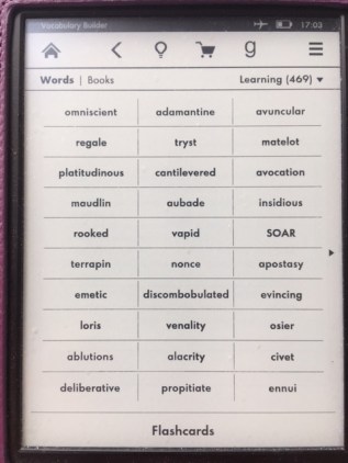 Kindle-flashcards